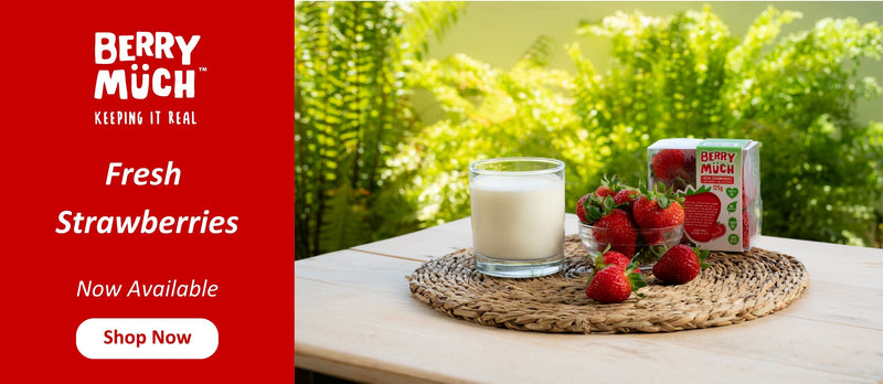 Berrylicious Breakfast Smoothie: A Fresh Start to Your Day