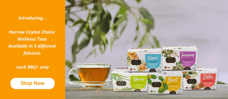 Discover the Harrow Ceylon Choice Wellness Teas