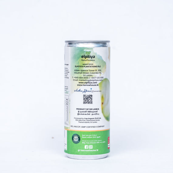 Harrow Ceylon Choice Iced Tea - Green Tea with Apple 250ml