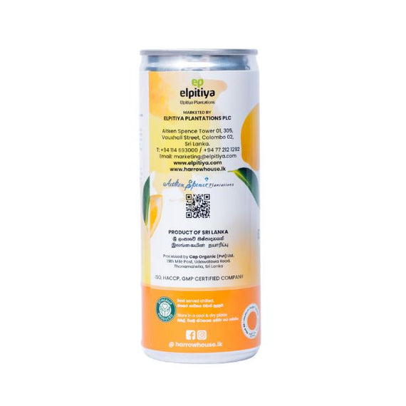 Harrow Ceylon Choice Iced Tea - Black Tea with Lemon 250ml