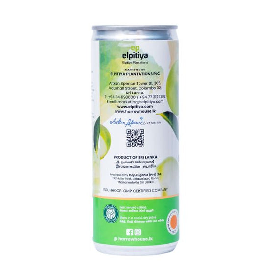 Harrow Ceylon Choice Iced Tea - Green Tea with Apple 250ml